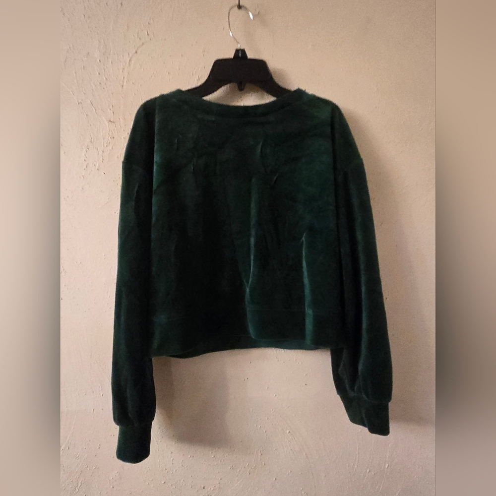 Wild Fable Emerald Velvet Top